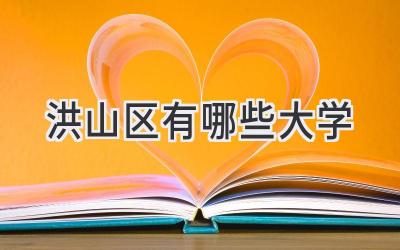 洪山区有哪些大学