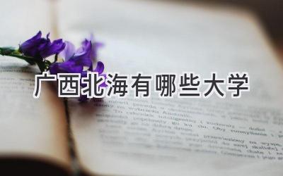 广西北海有哪些大学