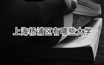 上海杨浦区有哪些大学