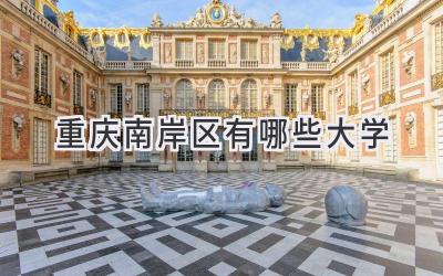 重庆南岸区有哪些大学