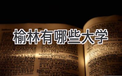 榆林有哪些大学