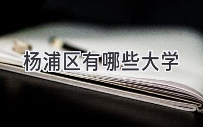 杨浦区有哪些大学