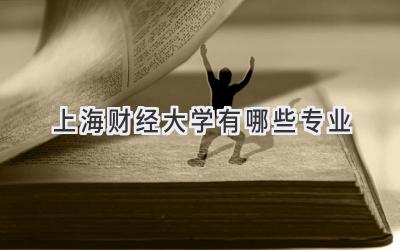上海财经大学有哪些专业