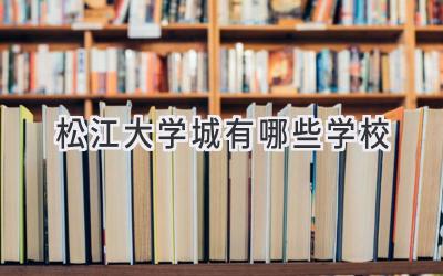 松江大学城有哪些学校