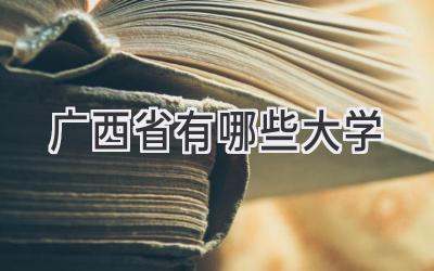 广西省有哪些大学