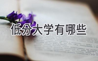 低分大学有哪些