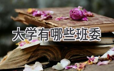 大学有哪些班委