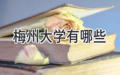 梅州大学 有哪些