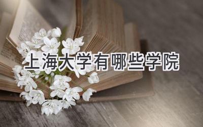 上海大学有哪些学院