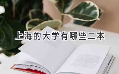 上海的大学有哪些二本