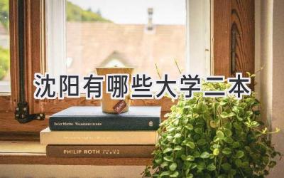 沈阳有哪些大学二本