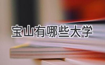 宝山有哪些大学