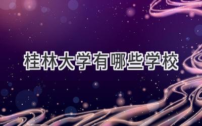 桂林大学有哪些学校