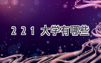 221大学有哪些