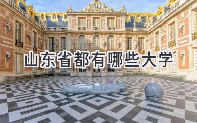 山东省都有哪些大学