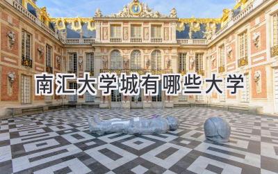 南汇大学城有哪些大学
