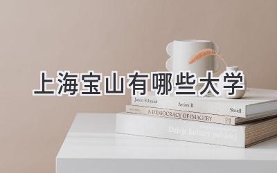 上海宝山有哪些大学