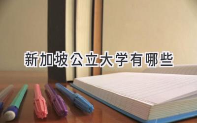 新加坡公立大学有哪些